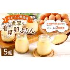 なかにし養鶏場の濃厚な 有精卵ぷりん 5個セット