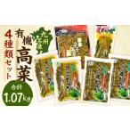 九州名産漬物 有機高菜セット 合計1.07kg