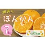 訳あり 愛南ゴールド 7kg