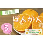 ぽんかん 5kg