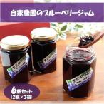 自家農園のブルーベリージャム6瓶セット 2瓶×3箱