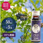 砂糖不使用のぎゅぎゅっと100%濃縮ブルーベリードリンク 1箱