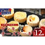 ゲンキチーズケーキ 12個