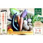 有機JAS認定 季節の野菜詰め合わせ ~有機野菜セットC~