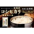 新潟産コシヒカリ 6か月 5kg