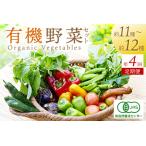 有機野菜11~12種 4人用