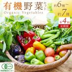 オーガニック野菜セット 有機野菜6~7種