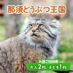 那須どうぶつ王国 ご招待券 大人2名 小人2名