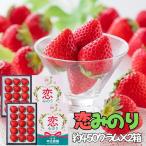 特別栽培 イチゴ 恋みのり 化粧箱 450g