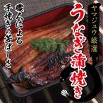 ヤマジュウ厳選 うなぎ 2尾