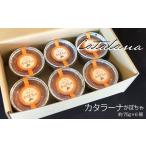 カタラーナ かぼちゃセット イタリア定番スイーツ