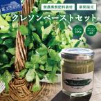 のクレソンペーストセット 野菜