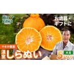 温室 不知火 しらぬい 5玉入
