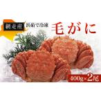 ふるさと納税 網走産 浜茹で冷凍毛がに400g×2尾 【 ふるさと納税 人気 おすすめ ランキング 毛蟹 毛ガニ 毛がに かに味噌 カニみそ 冷凍 北.. 北海道網走市