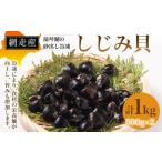 網走産 藻琴湖の砂出し冷凍しじみ貝 500g×2