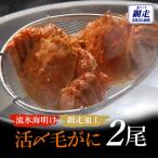 流氷海明け活〆毛がに2尾 冷蔵便 網走加工