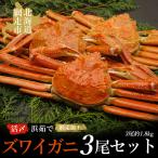 活〆浜茹でズワイガニ冷凍3尾セット 網走加工
