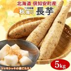 長芋 秋堀り