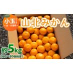ふるさと納税 山北みかん 5kg(60〜80個程度)【小玉サイズみかん みかん 2Sみかん 3Sみかん 山北みかん みかん】 yk-0044 高知県香南市