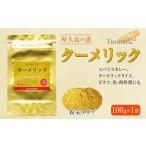 屋久島の恵 ターメリック 100g×1袋