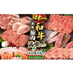 ふるさと納税 【偶数月6回定期便】長崎和牛・豚肉お楽しみコース 総量 5.04kg / 牛肉 モモ ロース 肩ロース リブロース すき焼き しゃぶしゃぶ .. 長崎県大村市