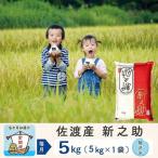 白米 5kg