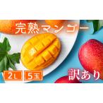 ふるさと納税 【訳あり】完熟マンゴー 2L×5玉（パック）/ 先行予約 宮崎県産 マンゴー 訳あり 宮崎県綾町