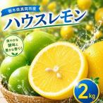 レモン 2kg