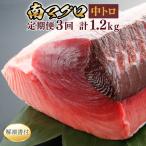 天然南マグロ中トロ 2柵 eb020