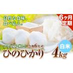 新米 令和6年産 ひのひかり 白米 4kg