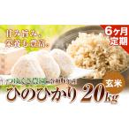 新米 令和6年産 ひのひかり 玄米 20kg