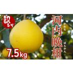 果樹園みどりの樹齢30年 河内晩柑 7.5kg