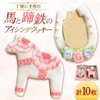 アイシングクッキーセット BIBS001