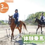 乗馬 体験乗馬3日間3回コース ドリンク付