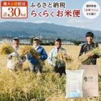 米 元気つくし らくらくお米便 30kg