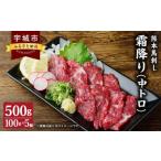 熊本 馬刺し 霜降り 中トロ 500g+馬肉ユッケ 500g
