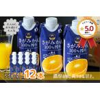 ふるさと納税 さがみかん100%搾り 330ml×12本 佐賀県産 みかんジュースみかんジュースみかんジュースみかんジュースみかんジュース:B125-.. 佐賀県佐賀市