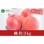 ふるさと納税 先行予約 桃 約3kg 令和8年度 贈答用 新潟県 三条市産 もも [三条果樹専門家集団] 【017P014】 新潟県三条市