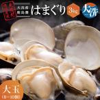 大洗産鹿島灘天然 はまぐり 3kg