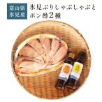 氷見ぶりしゃぶしゃぶとポン酢2種