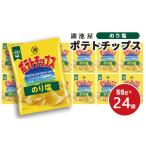 ポテチ 出来立て発送 湖池屋 ポテトチップス