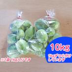 摘果メロン 野菜 漬物用 富良野産