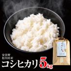 一等米 コシヒカリ 5kg