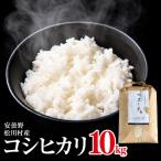 一等米 コシヒカリ 10kg