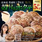 殻付きホタテ貝 2年貝 約5kg
