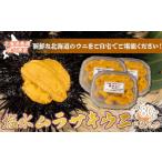 ふるさと納税 【令和7年度発送先行予約】うに 塩水 ムラサキウニ 80g×3パック 北海道 豊浦 噴火湾 雲丹【 配送不可地域:離島】【ふるさと.. 北海道豊浦町