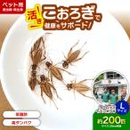 活きヨーロッパイエコオロギ Lサイズ200匹