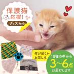 グッズセット 詰め合わせAタイプ 10種類の中から3-6点