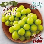 旬選 大房シャインマスカット 2房~3房 約1.2kg