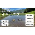 ふるさと納税 自然栽培 イセヒカリ 5kg 玄米 | 農薬 肥料不使用 天日干し 長野県塩尻市